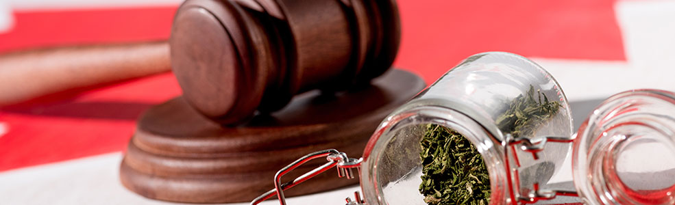 États-Unis - Canada : régulation cannabis 1 Accueil