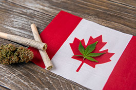 Cannabis_Canada_roxxyphotos.jpg