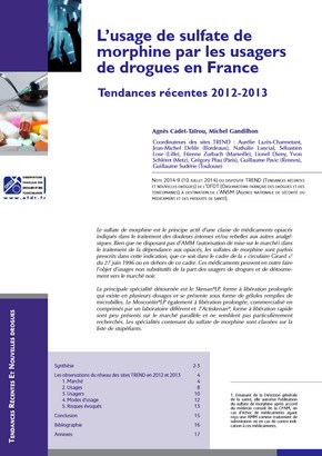 L’usage de sulfate de morphine par les usagers de drogues en France : tendances récentes (2012-2013)