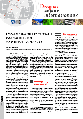 Réseaux criminels et cannabis indoor en Europe : maintenant la France ?
